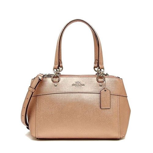 coach mini brooke carryall